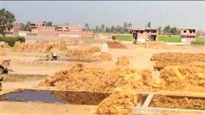 شبراملس بالغربية قلعة الكتان في مصر والشرق الأوسط