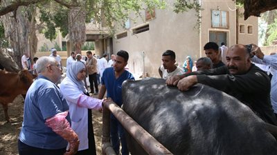 جامعة الفيوم تنظم قافلة طبية بقرية الأعلام