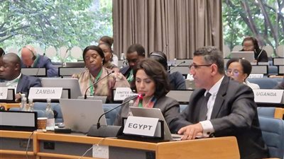 السفيرعمرو الجويلى يستعرض الأولويات التنموية والتمويلية والتكنولوجية فى أفريقيا