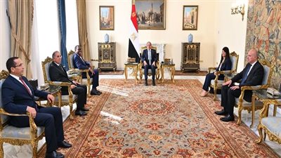 تفاصيل لقاء السيسي ورئيس مجموعة البنك الإفريقي للتنمية (صور)