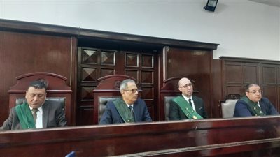 بعد حكم الإعدام، استئناف جنايات المنصورة تنظر قضية مقتل طفلة على يد زوجة عمها 