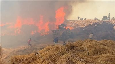 تحرك عاجل من 