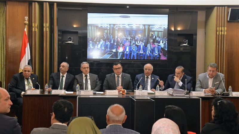مجلس النواب، فيتو