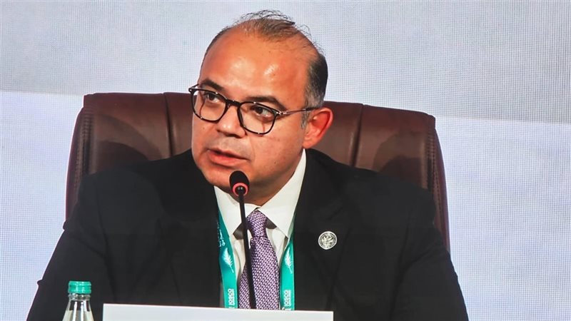 رئيس الرقابة المالية،