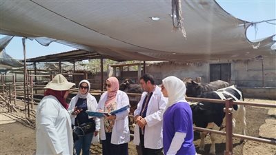 تحصين 202 ألف رأس ماشية ضد الحمى القلاعية والوادي المتصدع بالدقهلية