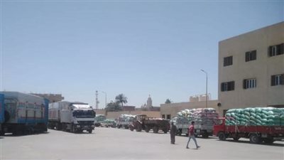 محافظ المنيا: توريد 282 ألف طن من القمح المحلي ضمن موسم 2025