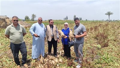 محافظ الدقهلية يتابع أعمال استلام وتوريد محصول البنجر من المزارعين (صور)