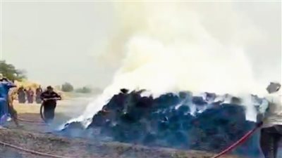  حريق يلتهم محصول فدان قمح في الغربية (فيديو وصور)