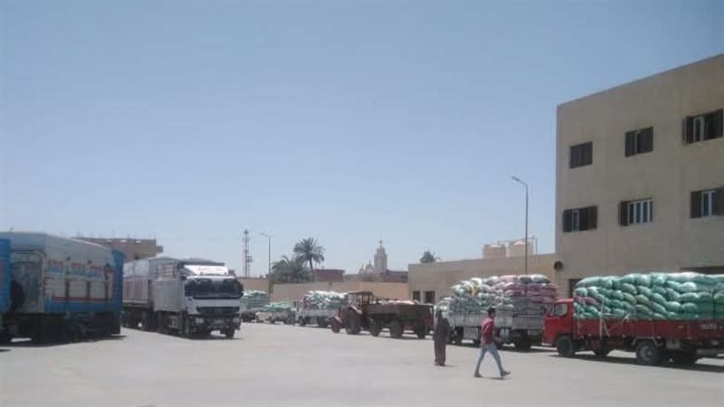 استقبال 282 ألف طن