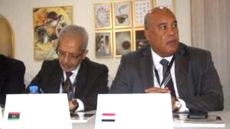 أيمن العشري 