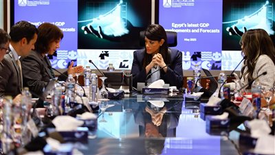 المشاط لـ صندوق النقد: نعمل على حوكمة الاستثمارات العامة لإفساح المجال للقطاع الخاص 