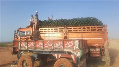 محافظة الوادي الجديد: مشروعات الاستثمار الزراعي تساهم في خفض أسعار المنتجات (صور)