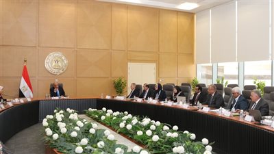 وزير الكهرباء يناقش استقرار التيار وخطة تأمين الشبكة لفصل الصيف 