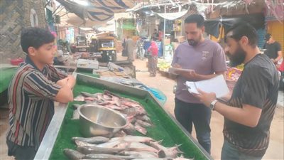 حملات بيئية للتفتيش على المحال التجارية في الإسماعيلية (صور) 