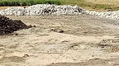 إزالة 10 حالات تعدٍ على الأراضي الزراعية في الشرقية