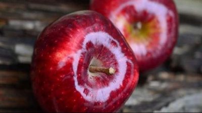 فوائد التفاح الأحمر، يحمي من سرطان القولون والثدي ويعزز جمال البشرة 