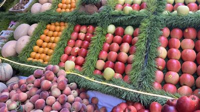  تتجاوز الـ100 جنيه، ارتفاع بأسعار فاكهة الصيف بالبحيرة (فيديو وصور)