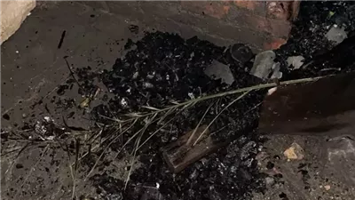 المعمل الجنائي يفحص حريق مقابر سعد زغلول بالخليفة (صور)