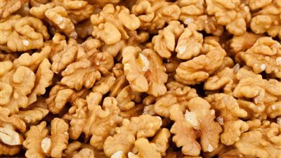 فوائد عين الجمل، ينشط المخ ومهم في فترة الامتحانات