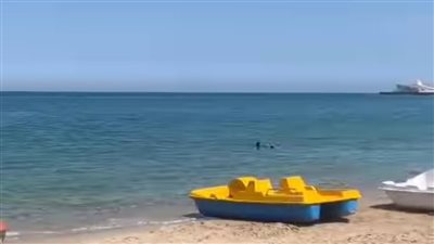 بشكل مفاجئ، محافظ الإسكندرية يجري حركة تغييرات في الأحياء