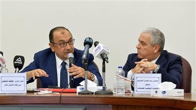 وزير قطاع الأعمال: 17 مليار جنيه صافي أرباح الشركات التابعة بالنصف الأول من 2024/2025