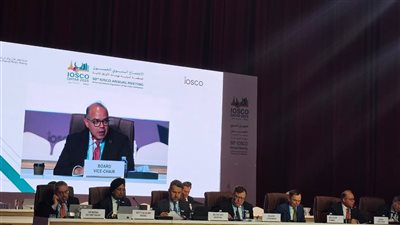 رئيس الرقابة المالية: تعزيز أنشطة التمويل المستدام يتطلب استعداد رقابي ومرونة للاستجابة للمتغيرات 