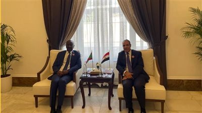 وزير الخارجية يبحث مع نظيره الموريتاني تعزيز العلاقات الثنائية بين البلدين