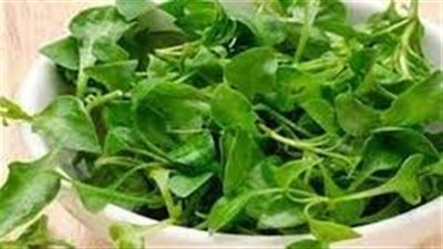 تفسير رؤية الجرجير في المنام وعلاقتها بانتهاء المشاكل والصعوبات