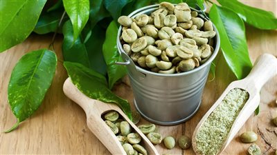 فوائد القهوة الخضراء، تنقص الوزن وتوسع الأوعية الدموية وتحارب الشيخوخة 