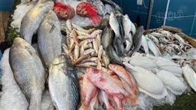 تفسير رؤية السمك الصغير في المنام وعلاقتها بسماع أخبار سعيدة 