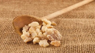 فوائد اللبان الدكر، يقضي على الالتهابات ويمنح بشرتك إشراقة وشباب