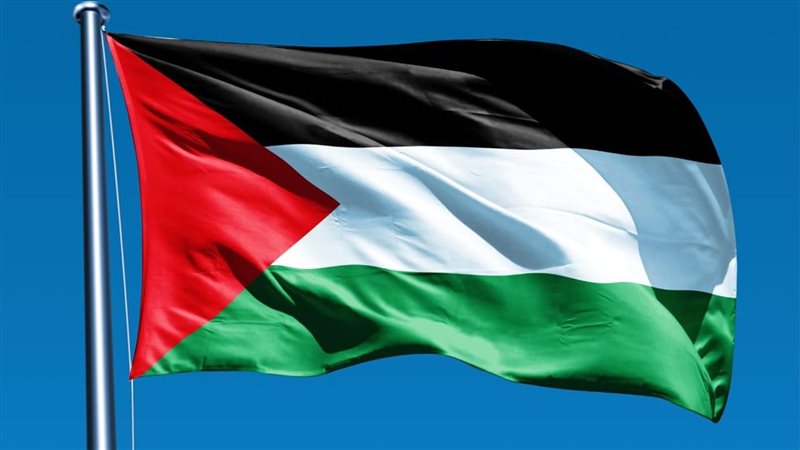 فلسطين، فيتو