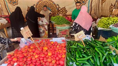 إقبال كثيف على أسواق اليوم الواحد بالمنصورة (صور)