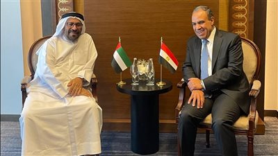 وزير الخارجية ونظيره الإماراتي يؤكدان أهمية التنسيق المشترك بين البلدين 