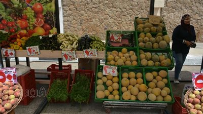 أسعار الخضراوات بسوق اليوم الواحد في مدينة نصر (صور)