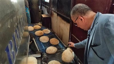 ضبط 25 طن دقيق ولحوم ودواجن ومخللات مجهول المصدر في حملات رقابية بالدقهلية