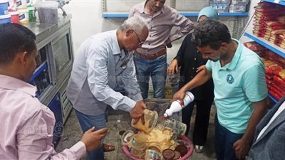 تحرير محاضر وإعدام أغذية فاسدة بمدن كوم أمبو والسباعية في أسوان (صور)