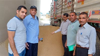 وكيل تموين سوهاج يتفقد مطاحن وصوامع مدينة جرجا (صور)