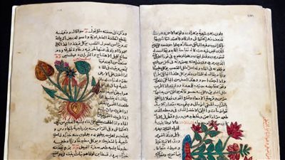 السياحة تحتفل بيوم المتاحف العالمي.. برنامج متنوّع بمتاحف الآثار