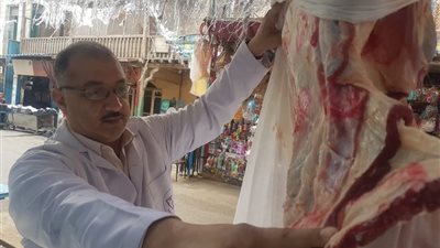 ضبط طن أسماك مجمدة ولحوم مفرومة وبلدية مجهولة بمراكز الشرقية 