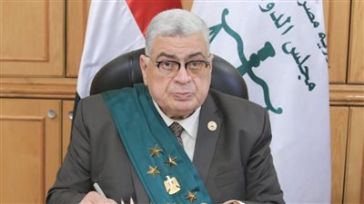 مجلس الدولة ومركز معلومات الوزراء يطلقان عصر العدالة الرقمية الناجزة 