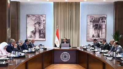 إصلاحات جمركية تدخل حيز التنفيذ قريبًا.. الحكومة تتحرك لتفعيل منظومة ACI 