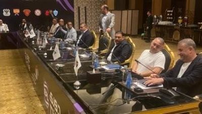 بعد الاستقرار على إلغاء الهبوط، شكل الدوري المصري في الموسم المقبل