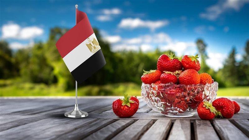 صادرات زراعية 