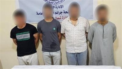 القبض على تشكيل عصابي بالمنيا تخصص في النصب والاحتيال الإلكتروني على المواطنين