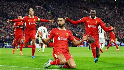 الدوري الإنجليزي، برايتون يسجل هدف التعادل في شباك ليفربول