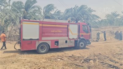 حريق في مزارع نخيل بالوادي الجديد والحماية المدنية تدفع بسيارات الإطفاء (صور)