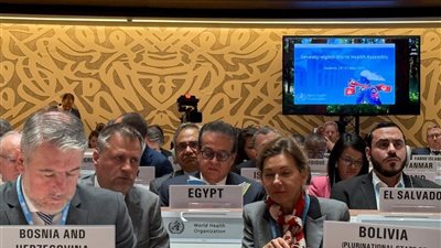 خالد عبد الغفار يدعو لدعم الأشقاء بدولتي فلسطين والسودان وتوفير الحماية الإنسانية والصحية للمدنيين