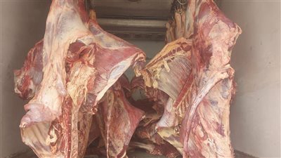 تموين الإسكندرية تضع خطة من ٤ محاور لاستقبال عيد الأضحى المبارك