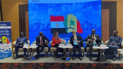 انطلاق البعثة التجارية الهندسية إلى السنغال لتعزيز الصادرات المصرية